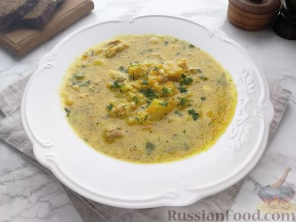 Куриный суп с тыквой, плавленым сыром и рисом