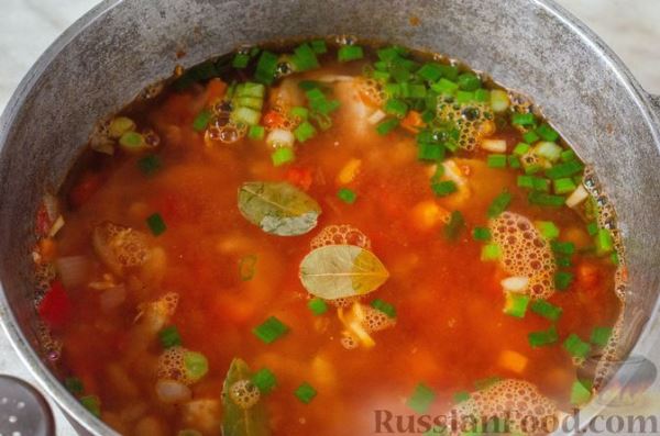 Томатный суп с курицей, фасолью и овощами